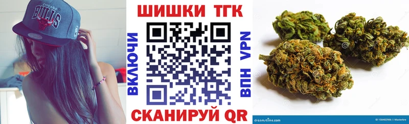 Купить закладки  Салаир  Каннабис семена 